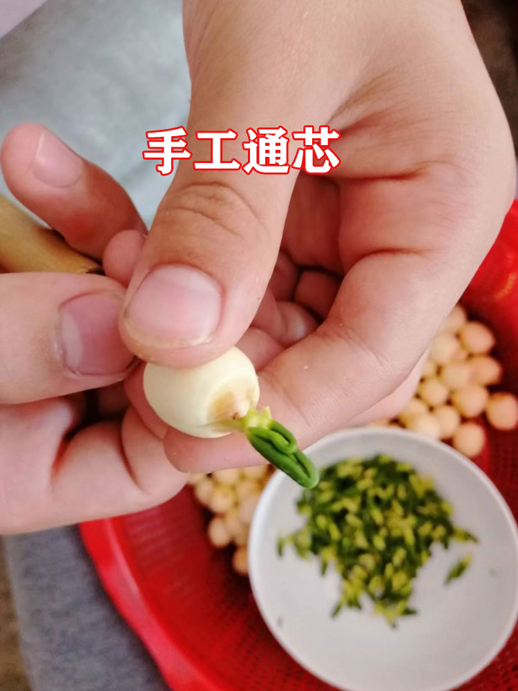 Lian Zi Xin 蓮子芯, Lotus Plumule, Lian Xin, Plumula Nelumbinis-Health Wisdom™
