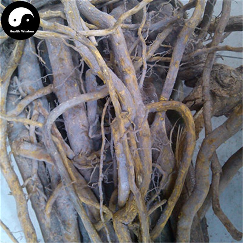 Liang Mian Zhen Gen 兩面針, Radix Zanthoxyli, Shinyleaf Pricklyash Root, Ru Di Jin Niu-Health Wisdom™