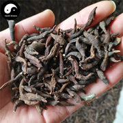 Liang Tou Jian 两头尖, Rhizoma Anemones Raddeanae, Radde Anemone Rhizome, Zhu Jie Xiang Fu-Health Wisdom™
