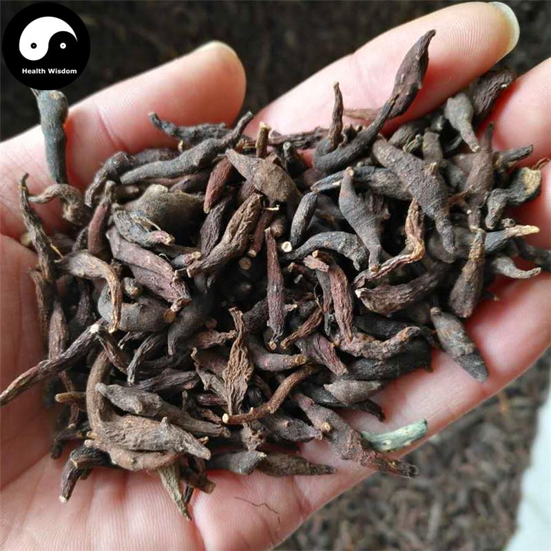 Liang Tou Jian 两头尖, Rhizoma Anemones Raddeanae, Radde Anemone Rhizome, Zhu Jie Xiang Fu-Health Wisdom™