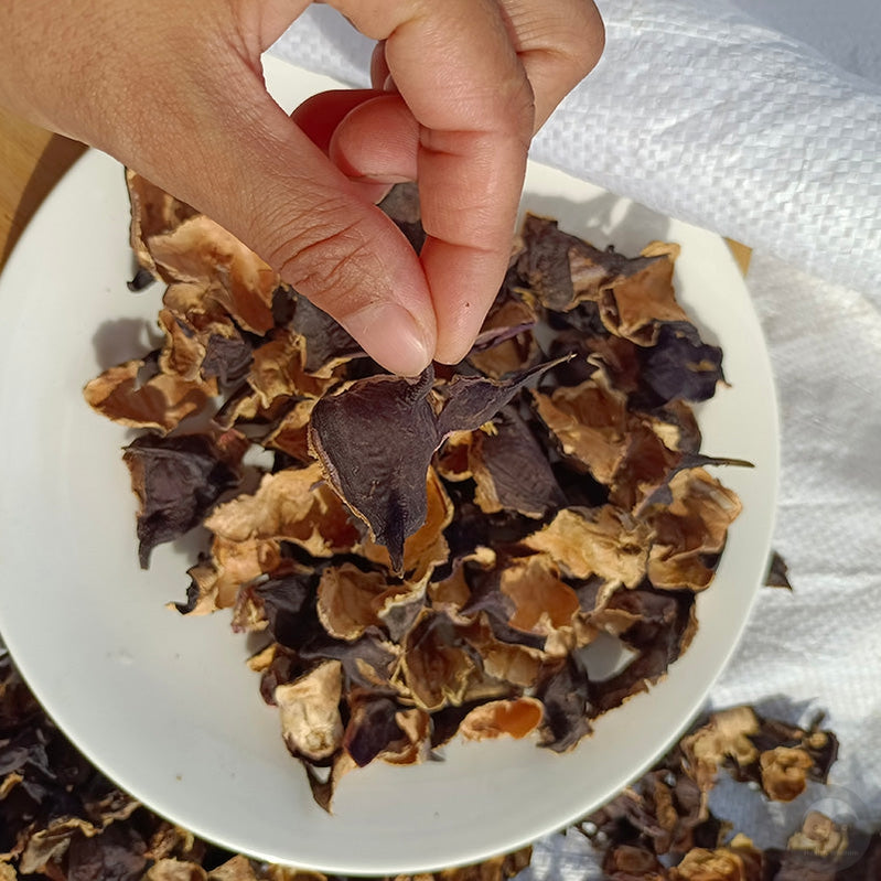 Ling Jiao Ke 菱角壳, Water Chestnut Shell, Water Calptrop Base Peel, Trapa Bispinosa, Gui Jian Chou-Health Wisdom™