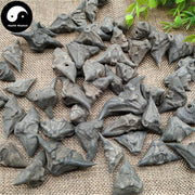 Ling Jiao 菱角, Water Chestnut, Water Calptrop Base Peel, Trapa Bispinosa, Gui Jian Chou-Health Wisdom™