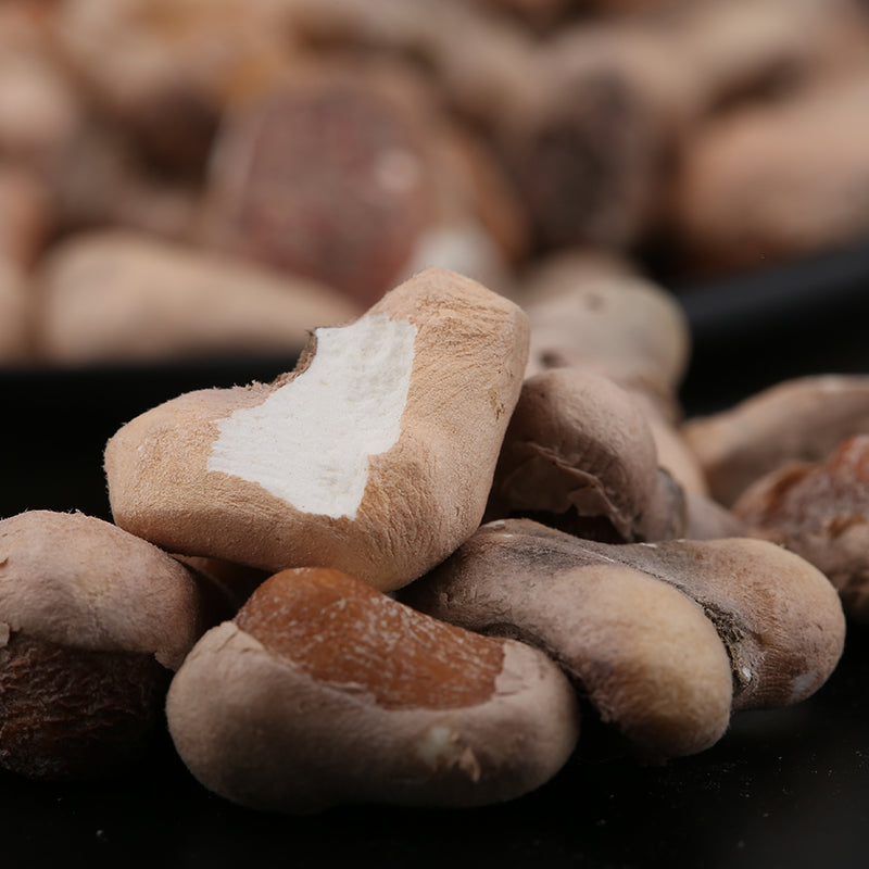 Ling Jiao Mi 菱角米, Water Chestnut Meat, Water Calptrop Base Peel, Trapa Bispinosa, Gui Jian Chou-Health Wisdom™