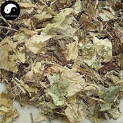 Ling Ling Xiang 零陵香, Lysimachia foenum-graecum Hance, Ling Xiang Cao-Health Wisdom™