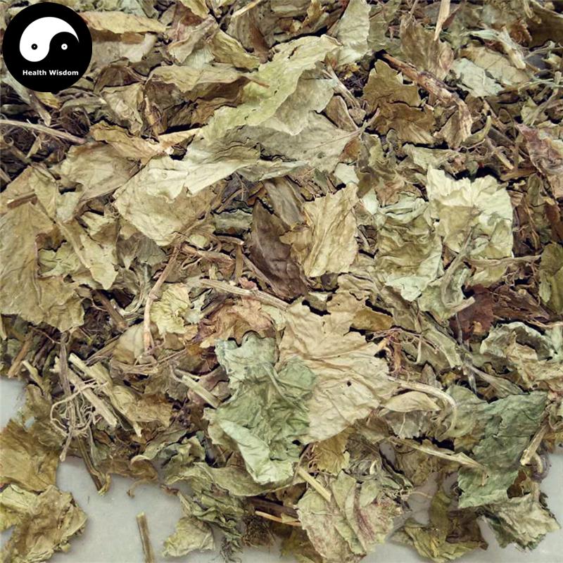 Ling Ling Xiang 零陵香, Lysimachia foenum-graecum Hance, Ling Xiang Cao-Health Wisdom™