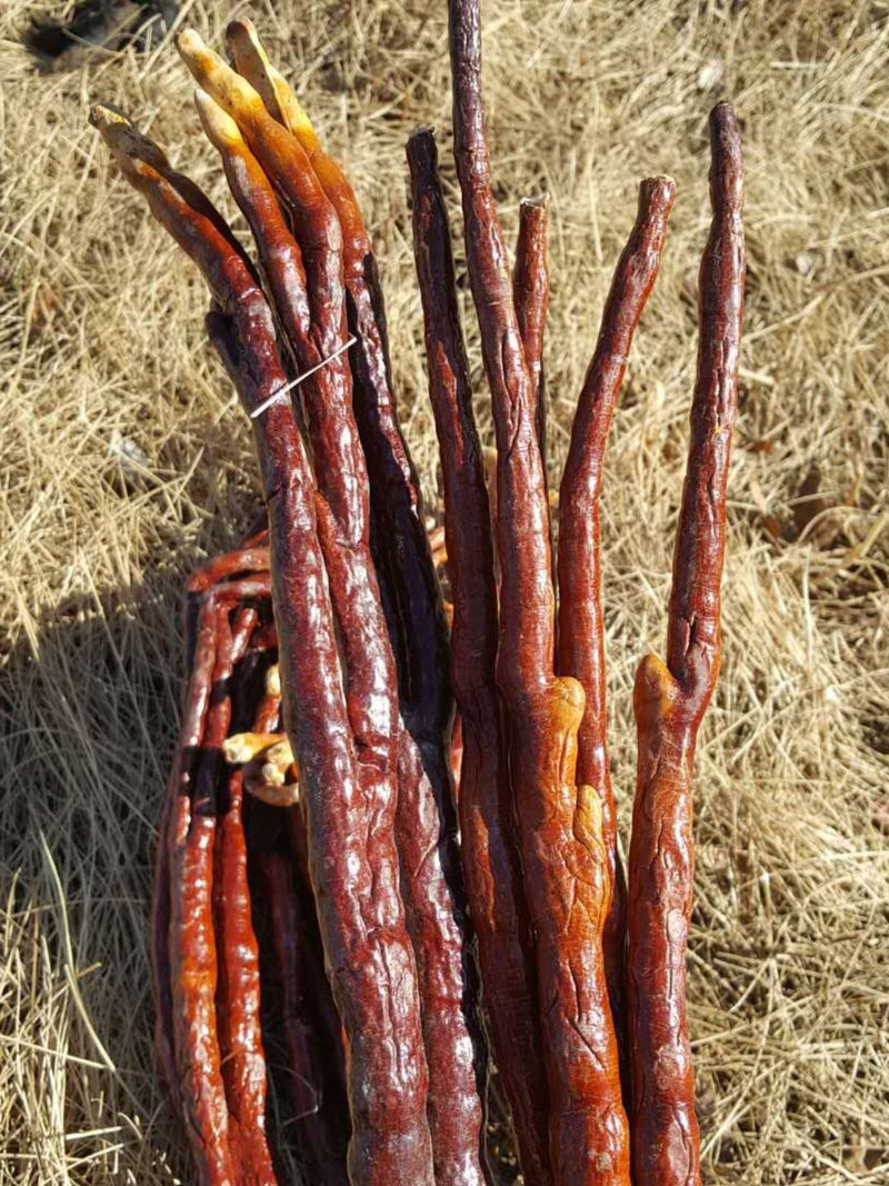 Ling Zhi Cao 灵芝草 Deer Antler Ganoderma Lucidum Tea, Reishi Mushroom, Fou Shou Ling Zhi-Health Wisdom™