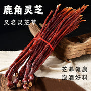 Ling Zhi Cao 灵芝草 Deer Antler Ganoderma Lucidum Tea, Reishi Mushroom, Fou Shou Ling Zhi-Health Wisdom™