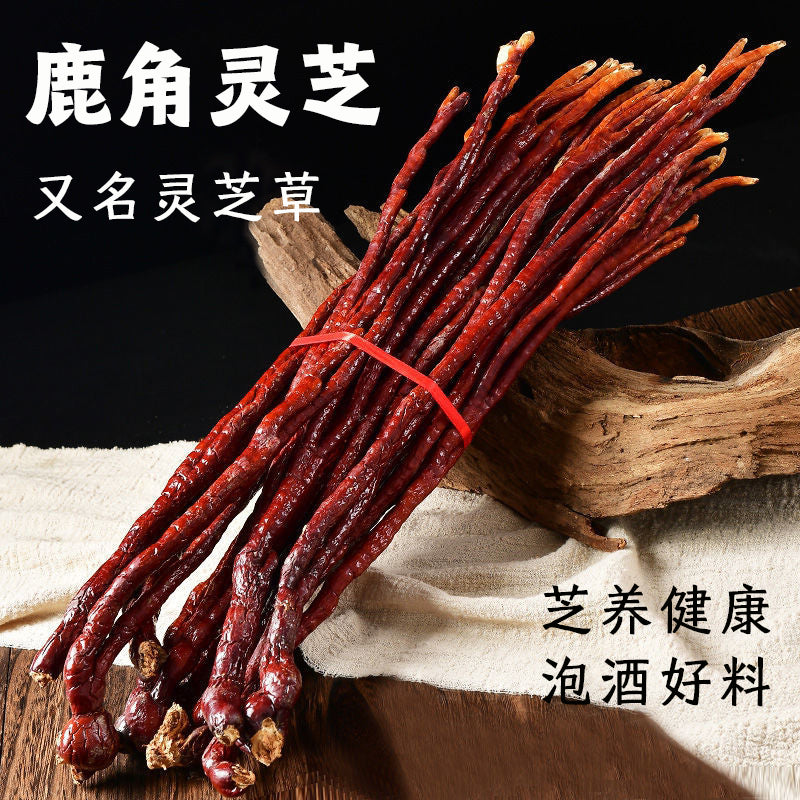Ling Zhi Cao 灵芝草 Deer Antler Ganoderma Lucidum Tea, Reishi Mushroom, Fou Shou Ling Zhi-Health Wisdom™