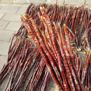 Ling Zhi Cao 灵芝草 Deer Antler Ganoderma Lucidum Tea, Reishi Mushroom, Fou Shou Ling Zhi-Health Wisdom™