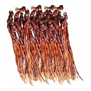 Ling Zhi Cao 灵芝草 Deer Antler Ganoderma Lucidum Tea, Reishi Mushroom, Fou Shou Ling Zhi-Health Wisdom™
