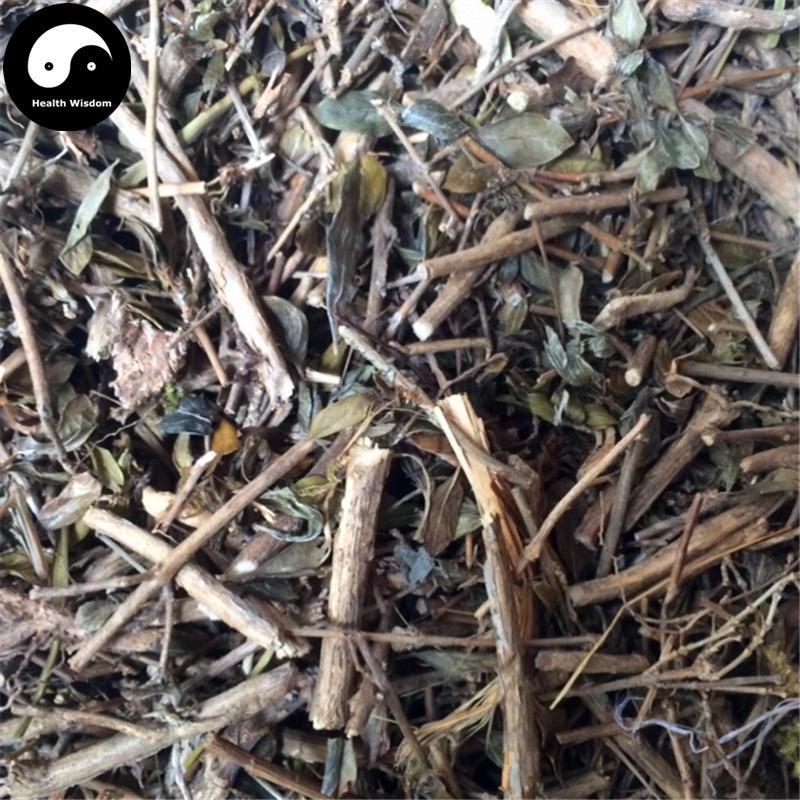 Liu Yue Xue 六月雪, Bai Ma Gu 白馬骨, Snow of June Herb, Herba Serissae-Health Wisdom™