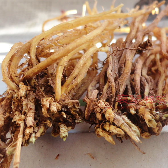 Long Dan Cao 龙胆草, Radix Gentianae, Chinese Gentian Root, Gentiana Scabra-Health Wisdom™