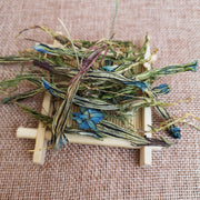 Long Dan Hua 龙胆花, Gentiana Scabra Flower Tea, Flos Gentiana-Health Wisdom™