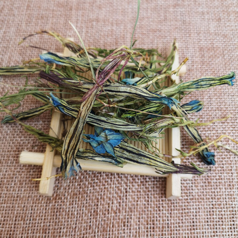 Long Dan Hua 龙胆花, Gentiana Scabra Flower Tea, Flos Gentiana-Health Wisdom™