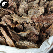 Long Gu Feng 龙骨风, Da Guan Zhong, Rhizoma Dryopteris Crassirhizomae, Fei Tian Qin Luo-Health Wisdom™