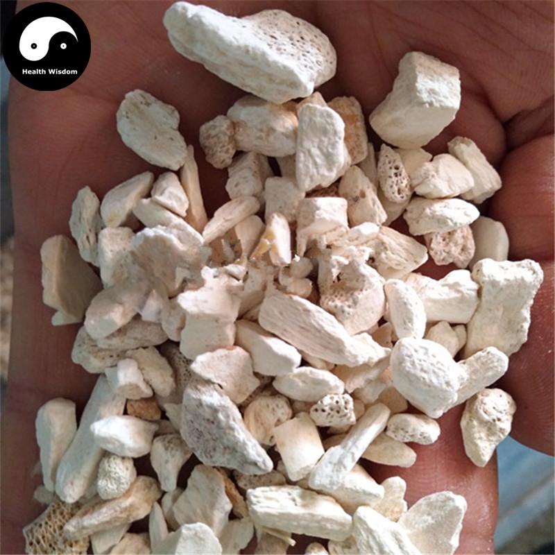 Long Gu 龍骨, Ossa Draconis, Fossil fragments, Os Draconis-Health Wisdom™
