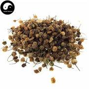 Long Kui Guo 龍葵果, Black Nightshade Herb, Herba Solani Nigri Fruit, Solanum Nigrum-Health Wisdom™