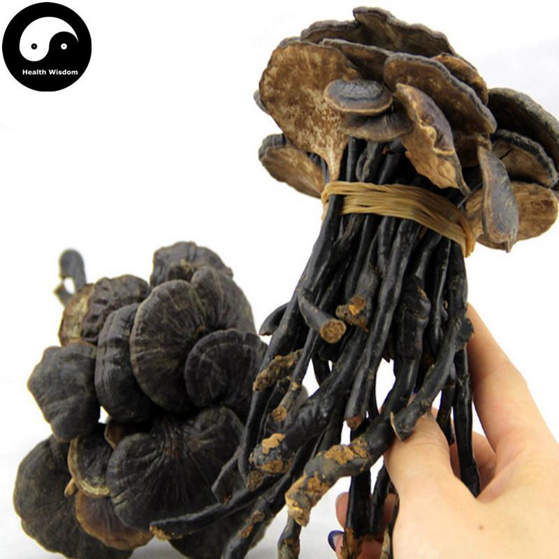 Long Ling Zhi 灵芝, Dried Reishi Mushroom, Ganoderma Lucidum Tea, Wild Lingzhi-Health Wisdom™