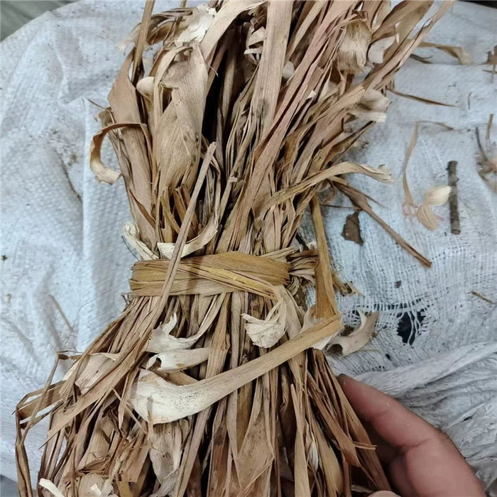 Long Xue Shu Ye 龙血树叶, Dried Dracaena Draco Leaf, Dracaena Angustifolia Leaves-Health Wisdom™