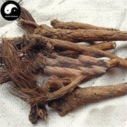 Lou Lu 漏蘆, Radix Rhapontici, Uniflower Swisscentaury Root, Gui You Ma-Health Wisdom™