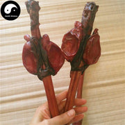 Lu Bian 鹿鞭, Sika Deer Penis Testes, Male Hormone, Energy Tonic-Health Wisdom™