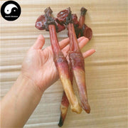 Lu Bian 鹿鞭, Sika Deer Penis Testes, Male Hormone, Energy Tonic-Health Wisdom™