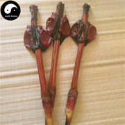Lu Bian 鹿鞭, Sika Deer Penis Testes, Male Hormone, Energy Tonic-Health Wisdom™