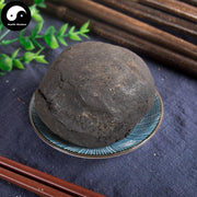 Lu Hui 芦荟, Aloes, Aloe Vera-Health Wisdom™