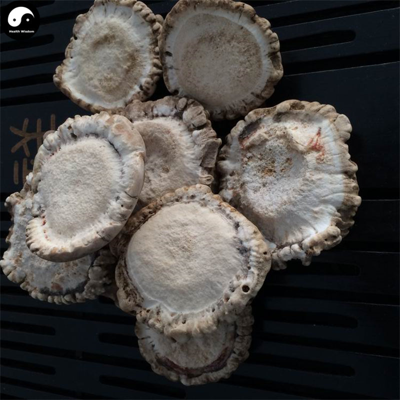 Lu Jiao Mao Fen 鹿角帽粉, Pure Sika Deer Antler Powder, Lu Rong Pan-Health Wisdom™