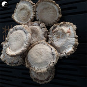 Lu Jiao Mao Fen 鹿角帽粉, Pure Sika Deer Antler Powder, Lu Rong Pan-Health Wisdom™