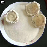 Lu Jiao Mao Fen 鹿角帽粉, Pure Sika Deer Antler Powder, Lu Rong Pan-Health Wisdom™