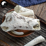 Lu Jiao Shuang 鹿角霜, Cornu Cervi Degelatinatum, Cervus Nippon Temminck-Health Wisdom™