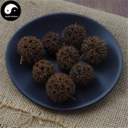 Lu Lu Tong 路路通, Beautiful Sweetgum Fruit, Fructus Liquidambaris-Health Wisdom™