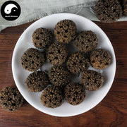 Lu Lu Tong 路路通, Beautiful Sweetgum Fruit, Fructus Liquidambaris-Health Wisdom™