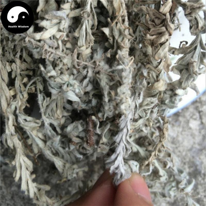 Lu Rong Cao 鹿茸草, Savatier Monochasma Herb, Herba Monochasmae Savatieri, Qian Nian Ai-Health Wisdom™