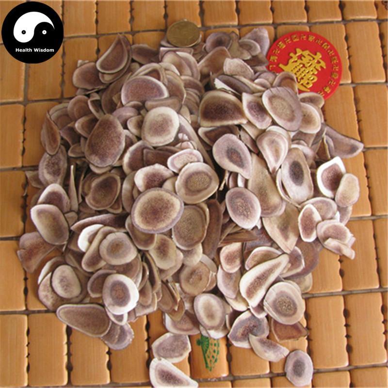 Lu Rong Gu Zhi Pian 鹿茸骨质片, Sika Deer Antler Slice, Energy Tonic Lu Rong-Health Wisdom™
