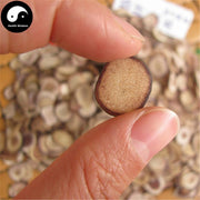 Lu Rong 鹿茸, Sika Deer Antler Slice, Bai Fen Pian, Energy Tonic Lu Rong-Health Wisdom™