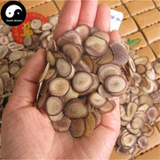 Lu Rong 鹿茸, Sika Deer Antler Slice, Bai Fen Pian, Energy Tonic Lu Rong-Health Wisdom™
