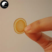 Lu Rong 鹿茸, Sika Deer Antler Slice, Ban La Pian, Rare Energy Tonic Lu Rong-Health Wisdom™