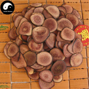 Lu Rong 鹿茸, Sika Deer Antler Slice, Hong Fen Pian, Energy Tonic Lu Rong-Health Wisdom™