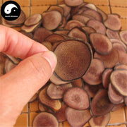 Lu Rong 鹿茸, Sika Deer Antler Slice, Hong Fen Pian, Energy Tonic Lu Rong-Health Wisdom™