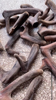 Lu Rong 鹿茸, Sika Deer Antler Slice, La Pian, Rarest Energy Tonic Lu Rong-Health Wisdom™
