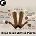 Lu Rong 鹿茸血片, Sika Deer Antler Slice, Xue Pian For Herbal Wine, Energy Tonic Lu Rong