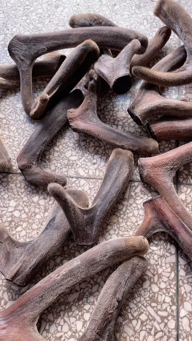 Lu Rong 鹿茸血片, Sika Deer Antler Slice, Xue Pian For Herbal Wine, Energy Tonic Lu Rong