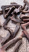 Lu Rong 鹿茸血片, Sika Deer Antler Slice, Xue Pian For Herbal Wine, Energy Tonic Lu Rong