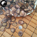 Lu Rong 鹿茸血片, Sika Deer Antler Slice, Xue Pian For Herbal Wine, Energy Tonic Lu Rong