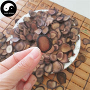 Lu Rong 鹿茸血片, Sika Deer Antler Slice, Xue Pian For Medicine Wine, Energy Tonic Lu Rong-Health Wisdom™