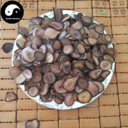 Lu Rong 鹿茸血片, Sika Deer Antler Slice, Xue Pian For Medicine Wine, Energy Tonic Lu Rong-Health Wisdom™