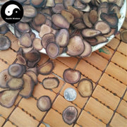 Lu Rong 鹿茸血片, Sika Deer Antler Slice, Xue Pian For Medicine Wine, Energy Tonic Lu Rong-Health Wisdom™