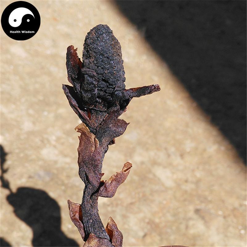 Lu Xian Cao 鹿仙草, Dioecious Balanophora Herb, Herba Balanophorae Dioicae, She Gu, Bu Shang Lian-Health Wisdom™